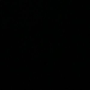 Meet your Posher, Dre